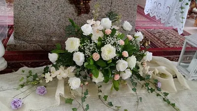 Logis - Dom pogrzebowy Białystok, Karakule